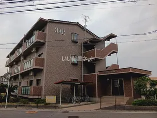 RIVER ANNE RENAの画像