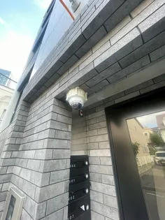 VOLARE DA KANAMECHOの画像