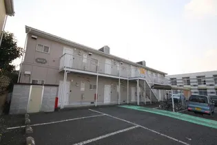 セイントDの画像