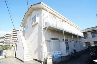 サンパレドールの画像