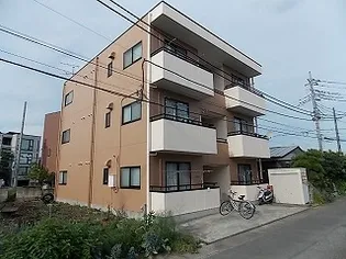 セラヴィの画像