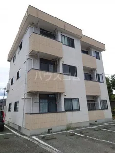 スマイルIIの画像