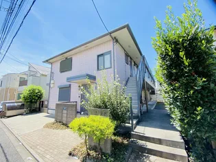 COURT ORCHIDの画像