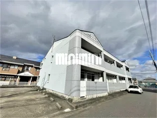 SUMMER WINDの画像