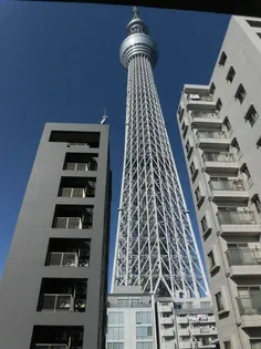 クレストコート押上の画像