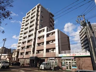 アーク菊水43の画像