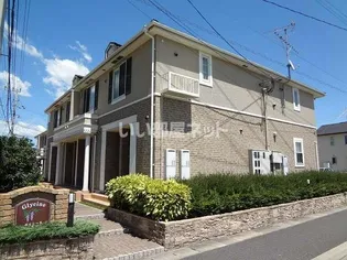 ブローディアの画像