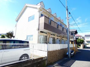 ゼフィランサス五香の画像