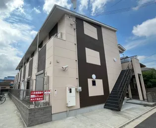 セントポリア衣摺の画像