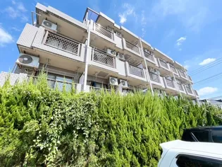 ルミエールの画像