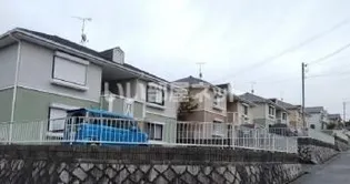 サザン五葉の画像