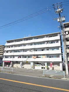 エレガンシア21の画像