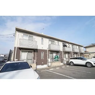 シャコンヌの画像