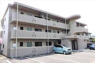 ドゥーズ松ノ木の画像