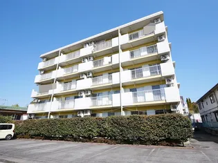 ハイツことぶき【4階】の外観