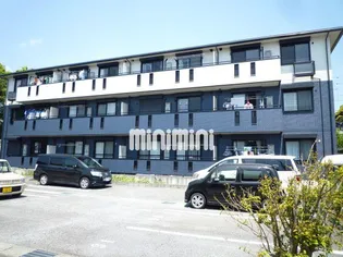 ハイネスサカシタA【2階】の外観