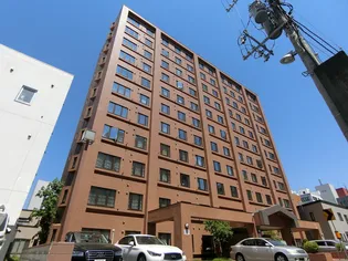 ダイアパレス大通第2【10階】の外観