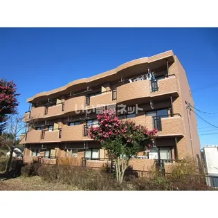 グランコリーヌの画像