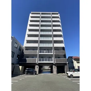 ステラクレロの画像