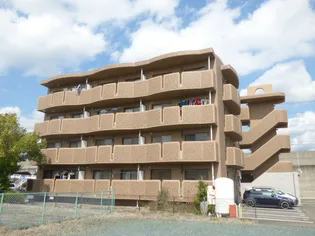 ラビアータの画像