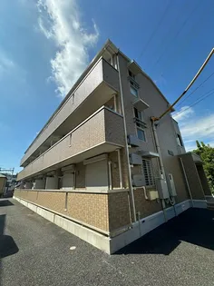 モイス エト ソレイユの画像