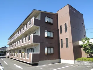 メゾンドワイズの画像