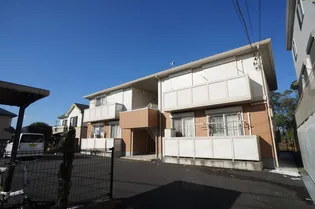 シャルマンの画像