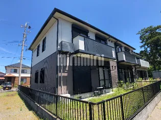 パインコーストの画像