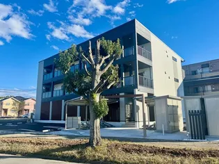 ヒカルサつくば花畑の画像