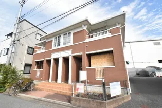 プリムラの画像