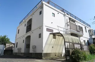 シーレッツ山岸の画像