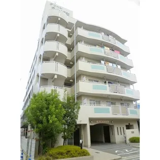 グリーンたちばなの画像