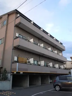 ミレニアム常入の画像