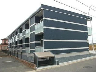 レオネクスト松の本の画像