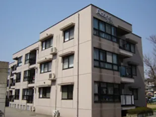 アドニスの画像