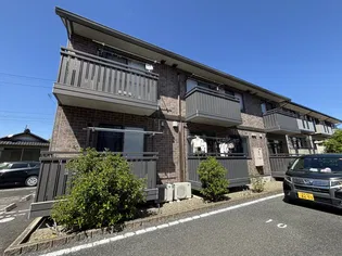 ウィルモアアサノの画像