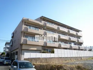 トゥインクルツイン桃山の画像