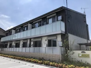 たんちょうの画像