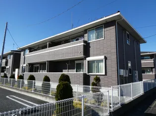 アルカンシエルIIパンジーの画像