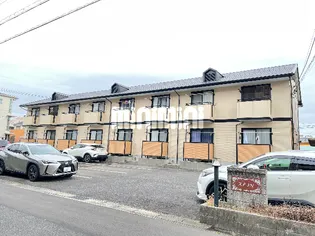 ステラ Nの画像