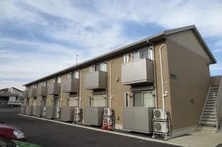 サニスペの画像