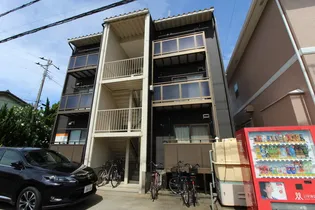 オリーブの画像