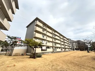 稲毛海岸三丁目団地の画像