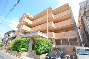 フィオーレ ジュネスの画像