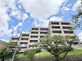 メゾン ルミエールたまプラーザの画像