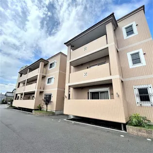 ハレオハナの画像
