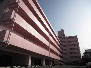 エレガンスメゾン6B【4階】の外観