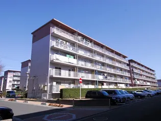 下九沢【5階】の外観