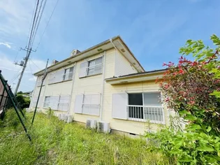 ニューカワバタの画像