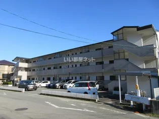 片川ハイツ【3階】の外観